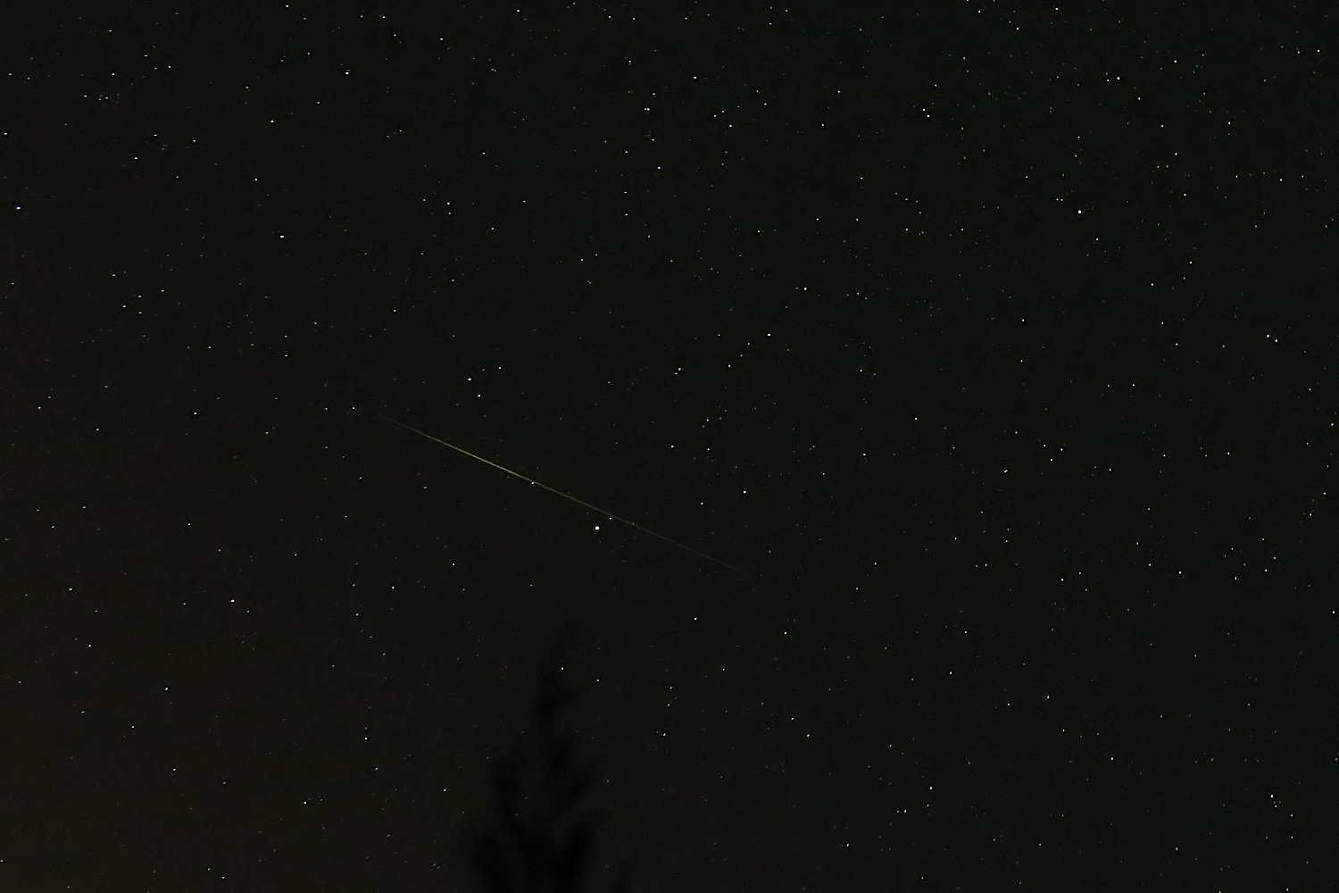 ペルセウス座流星群