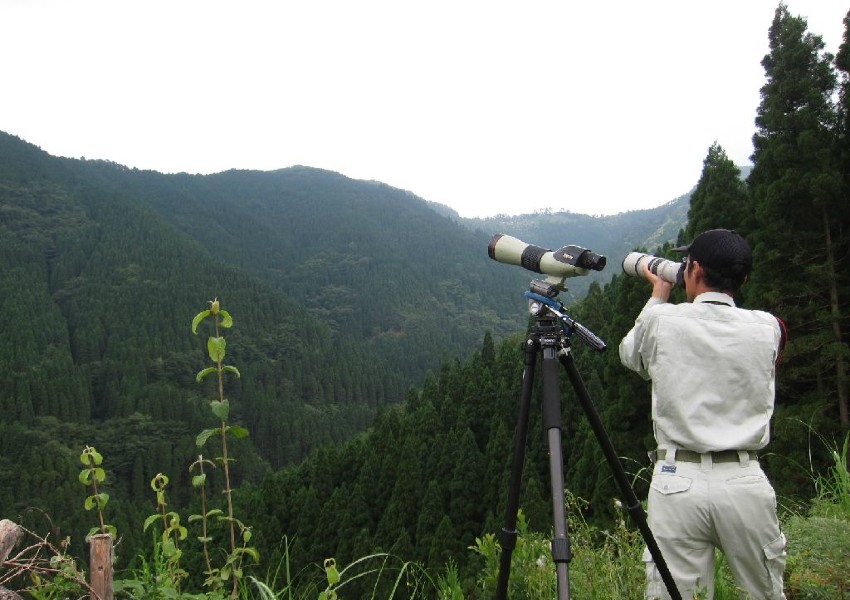 鳥類定点調査