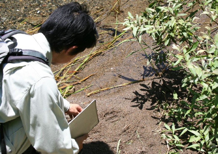 動物フィールドサイン調査