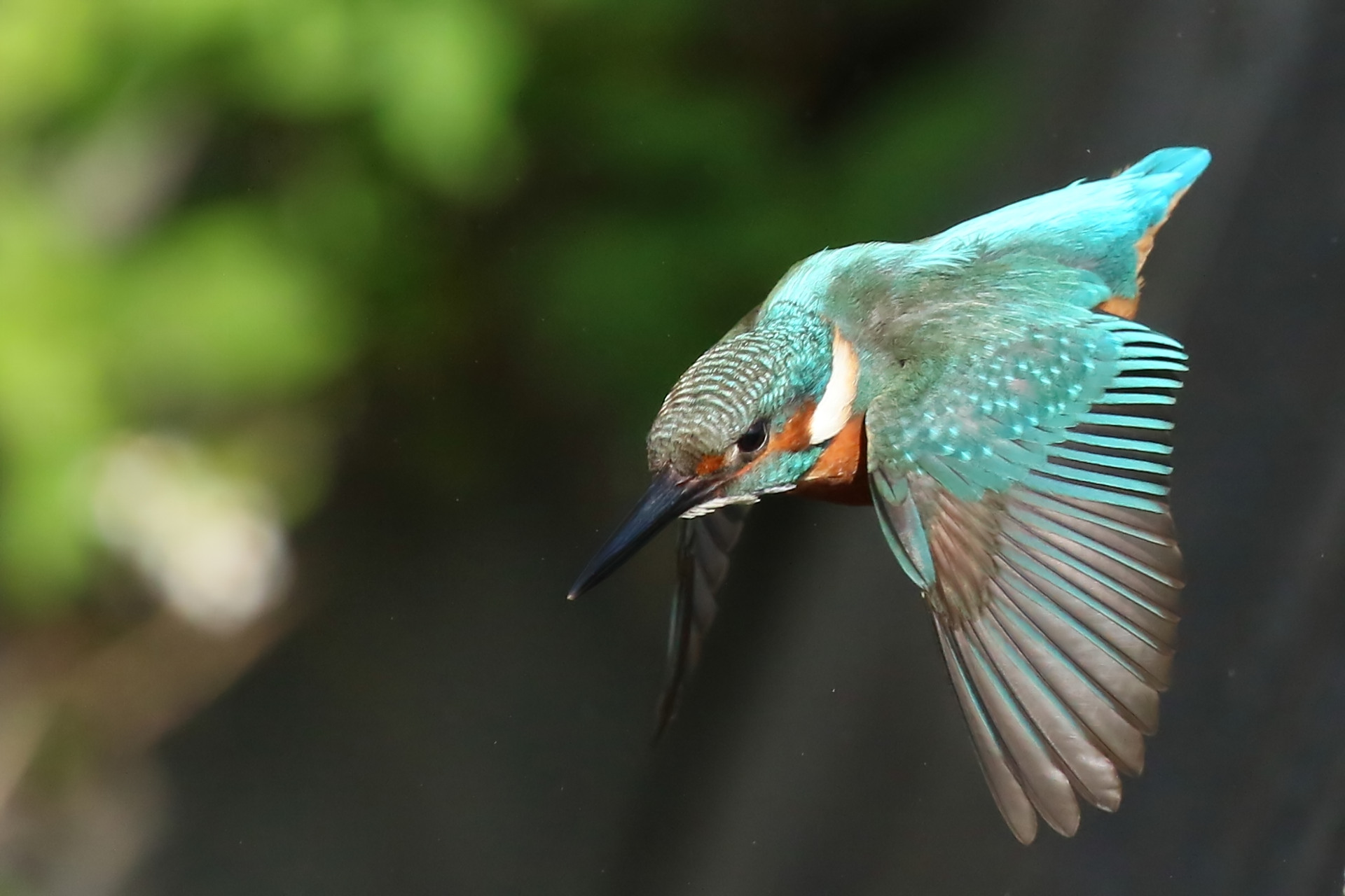施設維持管理調査